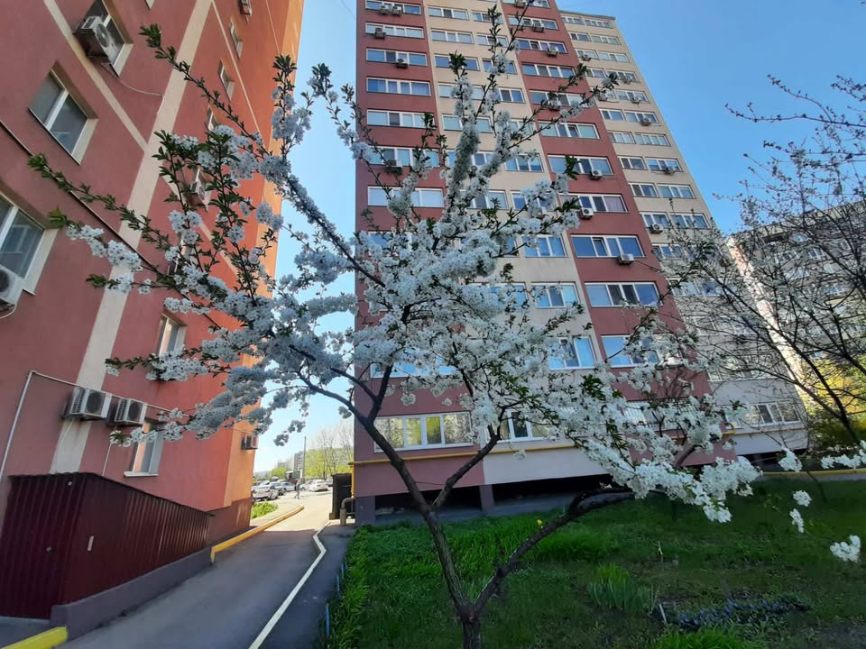 Програми підтримки від держави для ОСББ та ЖБК